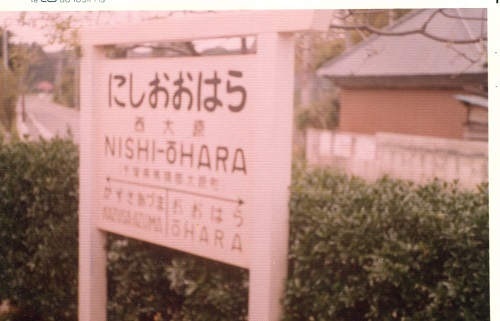 kihara (3)