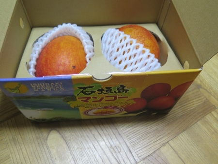 頂き物のマンゴー