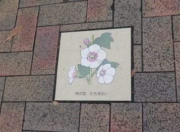 静岡市の花