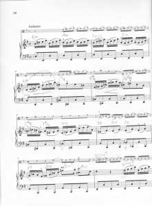 BWV1027 3mv -1