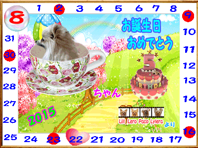 2015-08-22こすずちゃん（5歳）誕生日