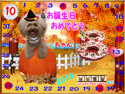 2015-10-13リアちゃん（8歳）誕生日