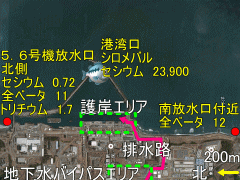 原発事故から４年半経ってもセシウムが見つかる福島原発沖外洋