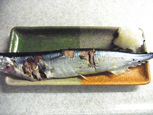 150905-211秋刀魚(S)