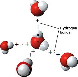 水分子間の水素結合のモデル 2