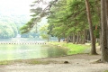 赤松湖岸