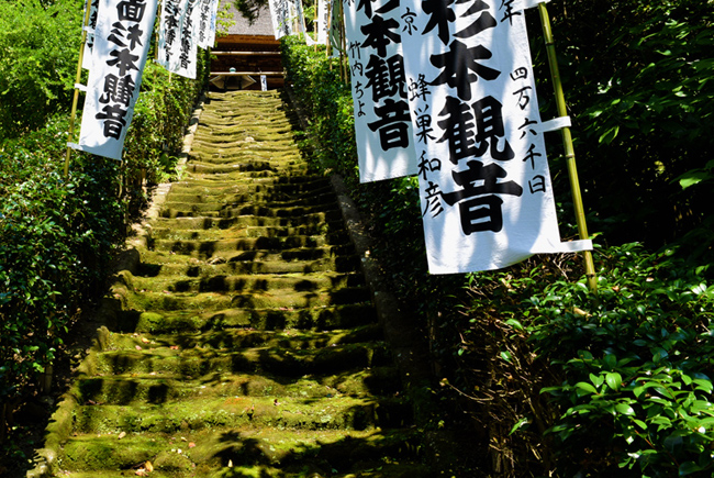 新訂 旅と歴史 : 鎌倉観光のサードウェイブ！「塩の道」六浦道沿いの名所を歩く　【トラベルラウンジ掲載】